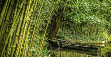 Embarcació de bambú