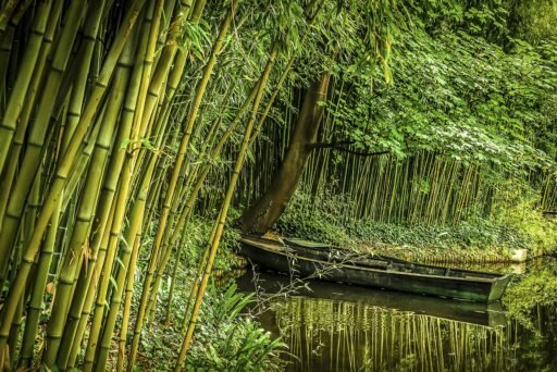 Embarcació de bambú