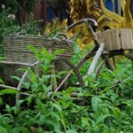 Bicicleta de bambú en entorn natural