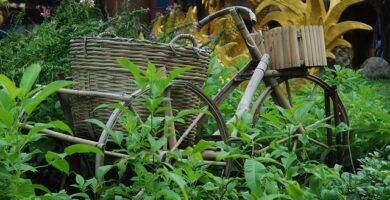 Bicicleta de bambú en entorn natural