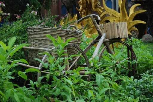 Bicicleta de bambú en entorn natural